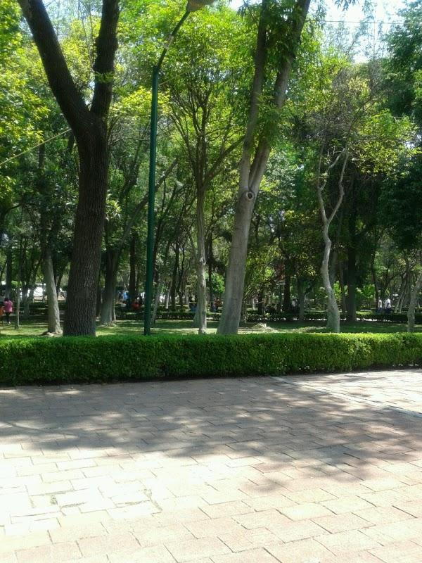 Imagen 5 Alameda Hidalgo foto