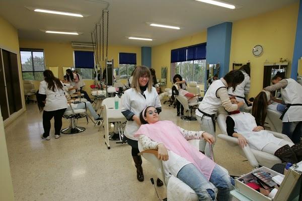 Imagen 46 Alameda Hidalgo foto