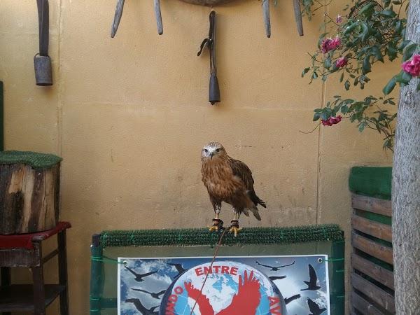 Imagen 21 Librería Javier Fernández foto