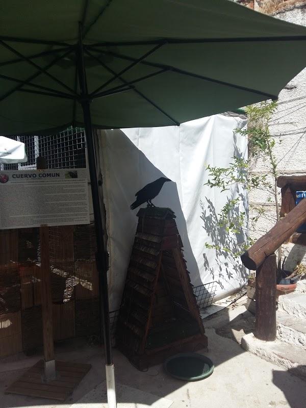 Imagen 22 Librería Javier Fernández foto