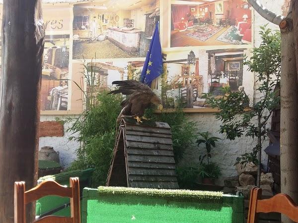 Imagen 26 Librería Javier Fernández foto