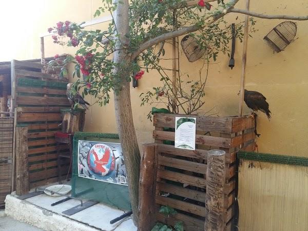 Imagen 29 Librería Javier Fernández foto