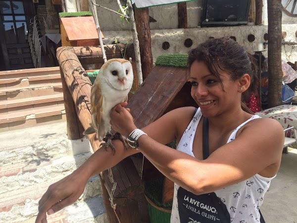 Imagen 30 Librería Javier Fernández foto