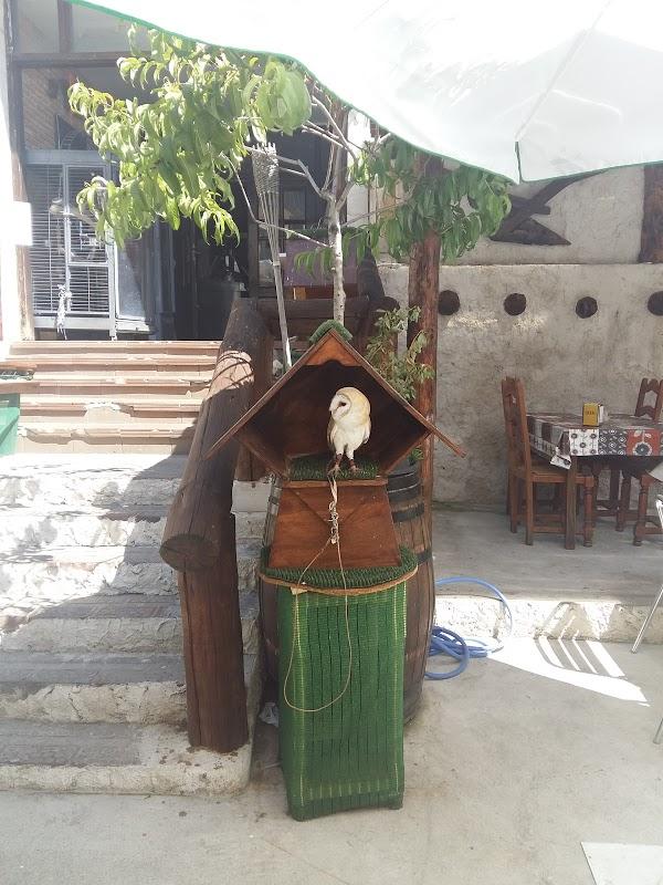 Imagen 31 Librería Javier Fernández foto