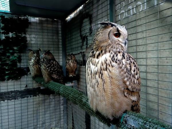 Imagen 55 Librería Javier Fernández foto