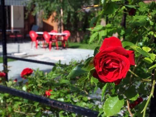 Imagen 7 Timhotel Palais Royal foto