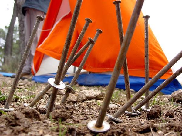 Imagen 58 Asako foto