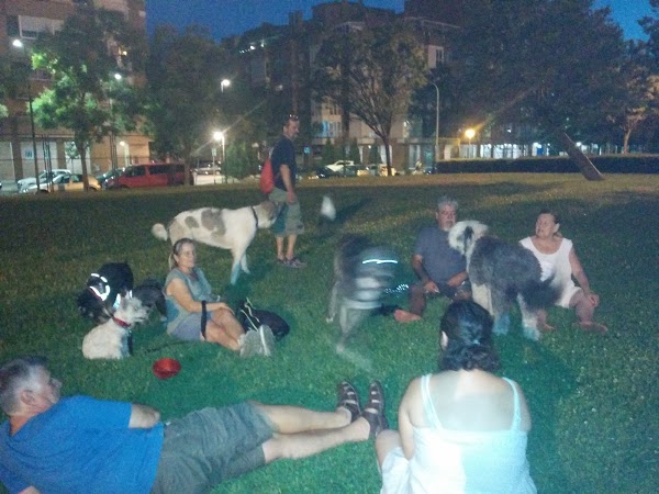 Imagen 126 Complejo Deportivo el Juncal foto
