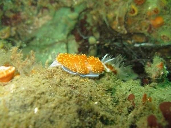 Imagen 1 Colegio Sagrada Familia foto