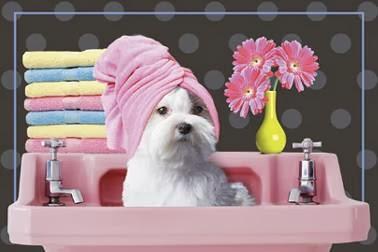 Imagen 1 SAEN TECH CANARIAS S.L. foto