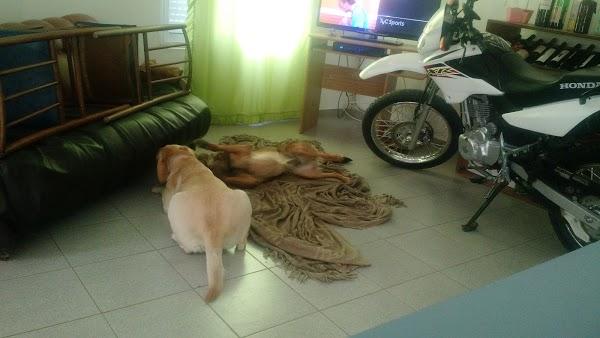 Imagen 33 SAEN TECH CANARIAS S.L. foto