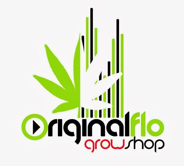 Imagen 6 Maderas Gili foto