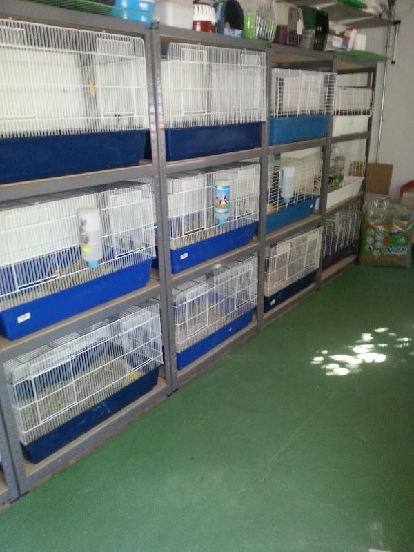 Imagen 42 Cocinas y baños en Barakaldo, Jimarsa foto