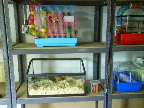 Imagen 47 Cocinas y baños en Barakaldo, Jimarsa foto