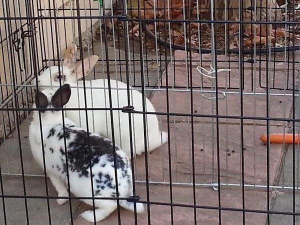 Imagen 7 Cocinas y baños en Barakaldo, Jimarsa foto