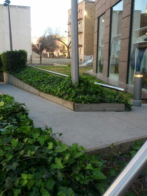 Imagen 13 Gonzalez Pallets Sales Containers foto