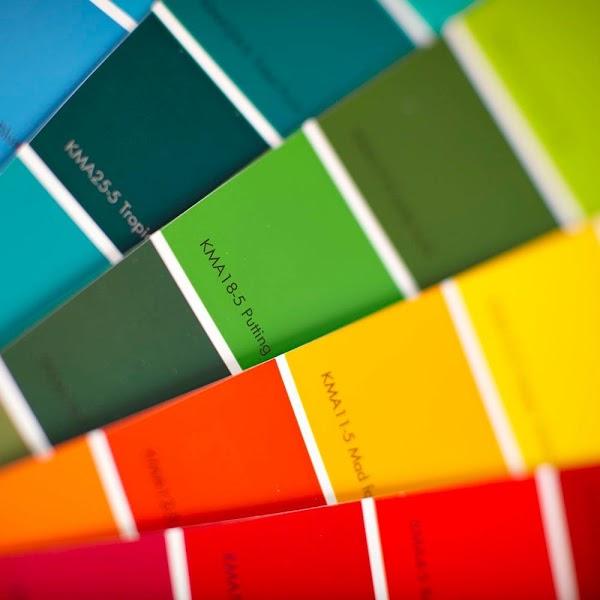 Imagen 35 Fundación Cades foto