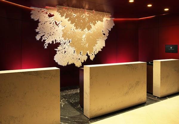 Imagen 7 Fundación Cades foto