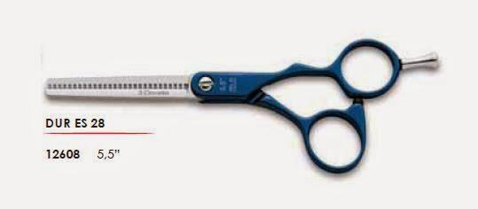 Imagen 7 Zurriola Ikastola foto