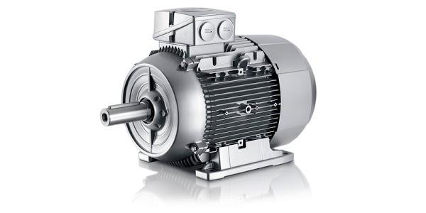 Imagen 12 PapStar Canarias, S.L. foto