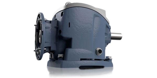 Imagen 15 PapStar Canarias, S.L. foto