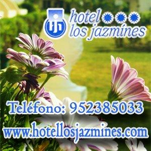 Imagen 4 Hotel Los Jazmines foto