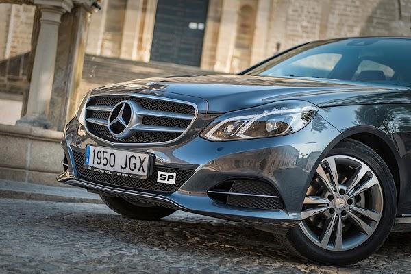 Imagen 20 Decoracuarium foto