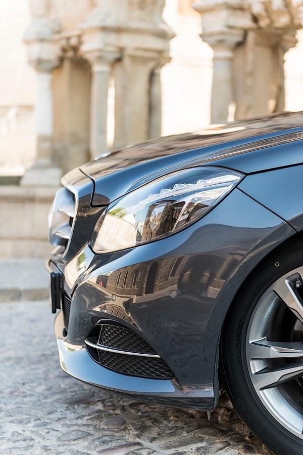 Imagen 39 Decoracuarium foto