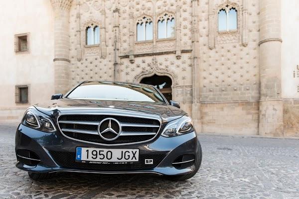 Imagen 54 Decoracuarium foto