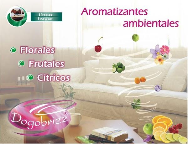 Imagen 36 Plaza Quitumbe foto