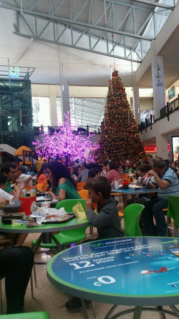 Imagen 7 Telepizza foto