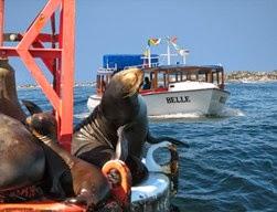 Imagen 14 Salem foto