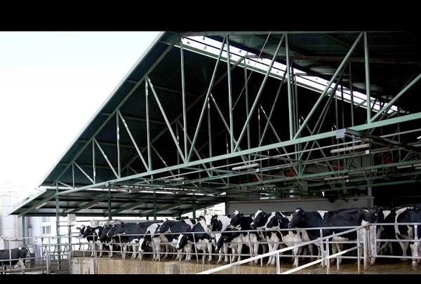 Imagen 12 Bar Marijose foto