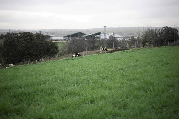 Imagen 16 Bar Marijose foto