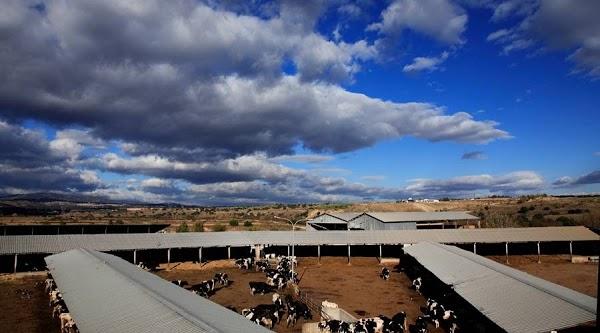 Imagen 18 Bar Marijose foto