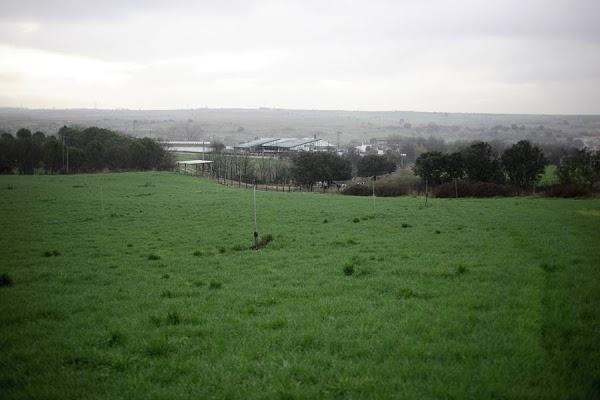 Imagen 22 Bar Marijose foto