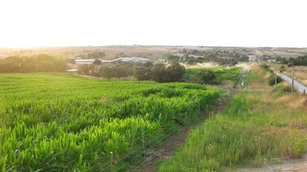 Imagen 23 Bar Marijose foto