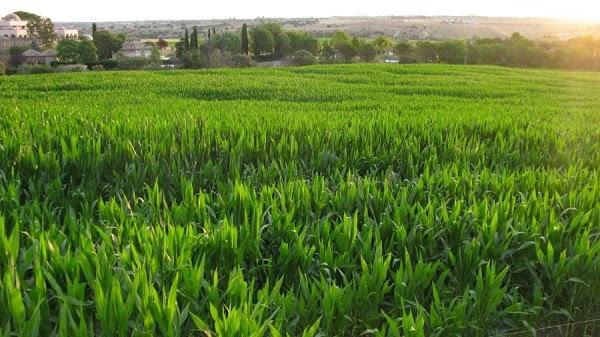 Imagen 24 Bar Marijose foto