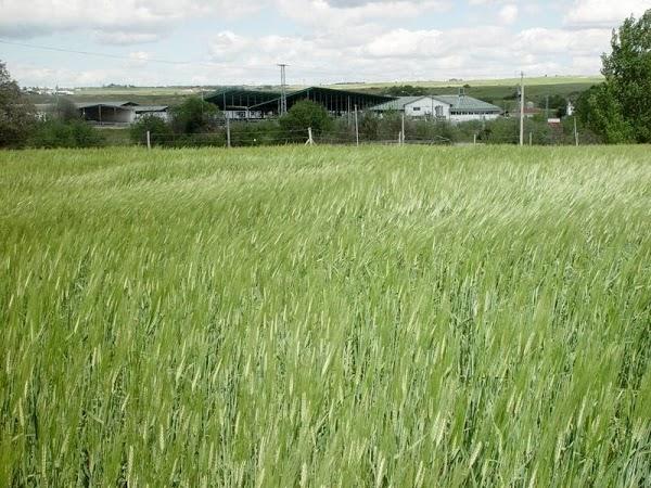 Imagen 29 Bar Marijose foto