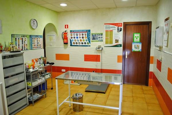 Imagen 31 Bar Marijose foto