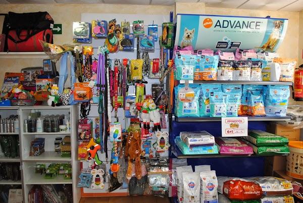 Imagen 32 Bar Marijose foto