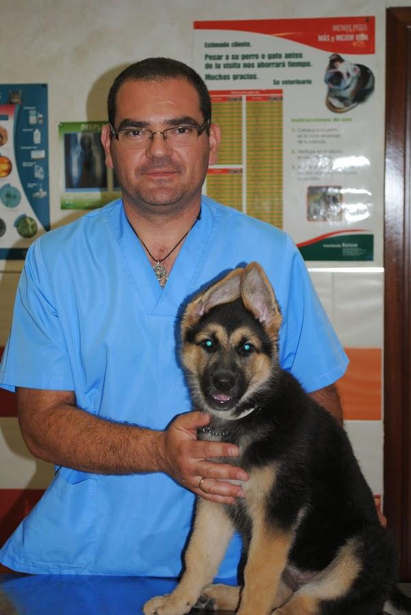 Imagen 57 Clinica Veterinaria El Reston foto