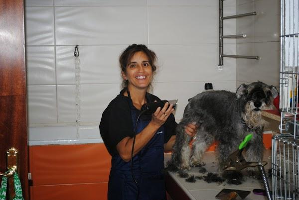 Imagen 59 Clinica Veterinaria El Reston foto