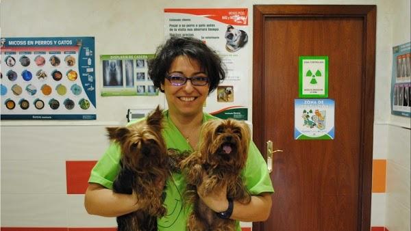 Imagen 81 Clinica Veterinaria El Reston foto