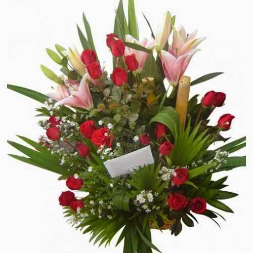 Imagen 11 Fotolax foto