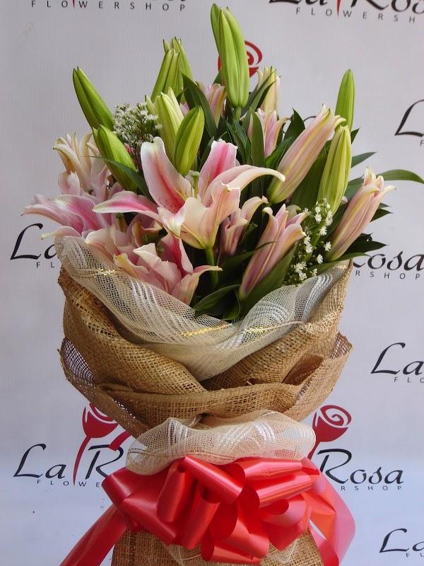 Imagen 13 Fotolax foto