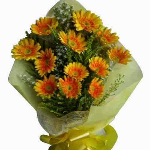 Imagen 14 Fotolax foto