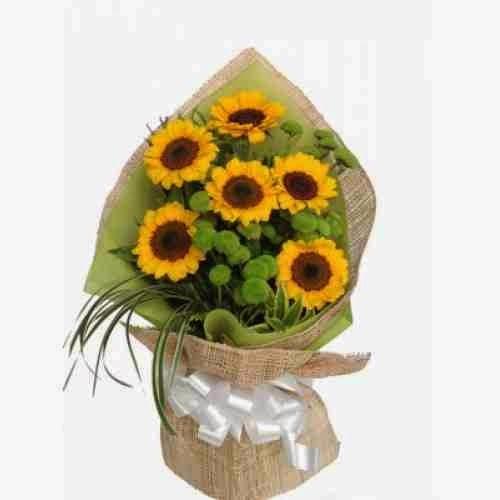 Imagen 16 Fotolax foto