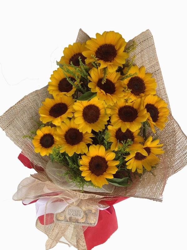 Imagen 19 Fotolax foto