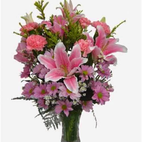 Imagen 8 Fotolax foto